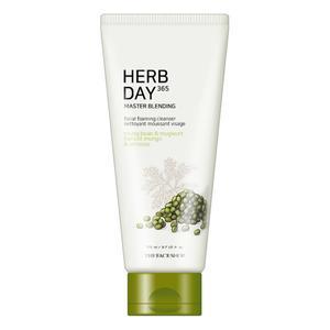 The Face Shop Herb Day 365 Master Blending Facial Foaming