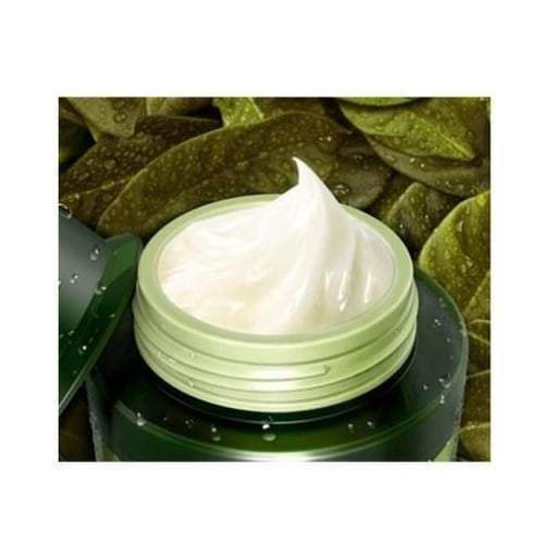 Tonymoly the Chok Green Tea Moisture Cream 100ml - Korean