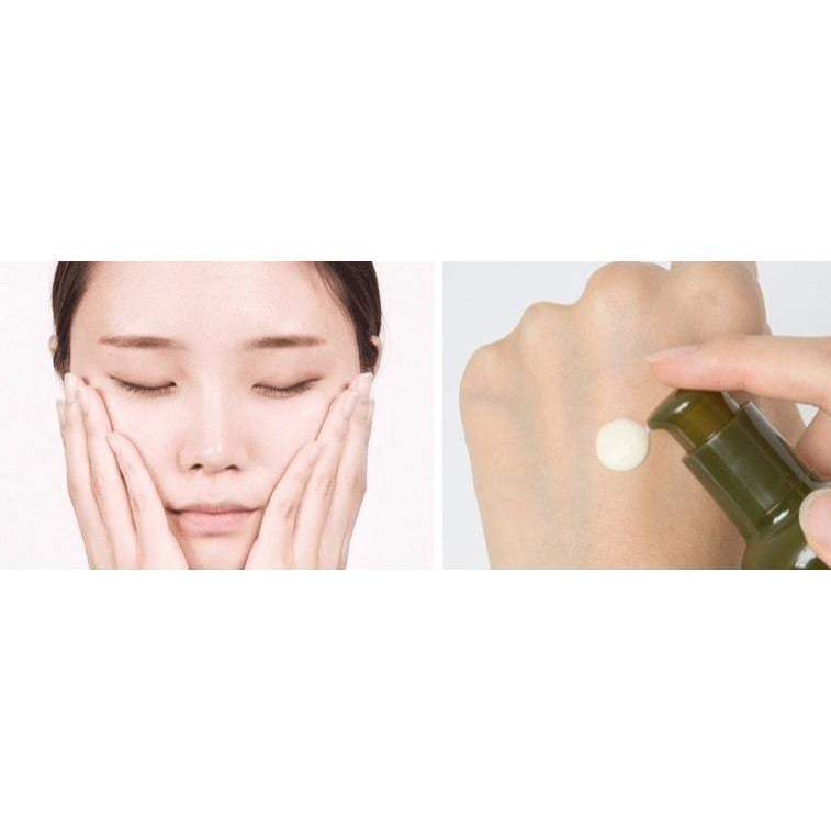 Innisfree Olive Real Serum 50ml - Korean skincare & makeup
